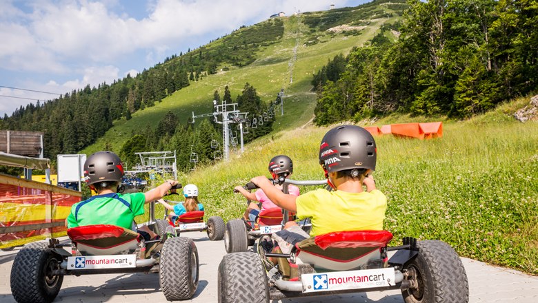 Mountaincarts, © Lindmoser Mountaincarts, © Lindmoser