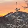 Hotel Winterbach, © Hotel Winterbach Hotel Winterbach, © Hotel Winterbach