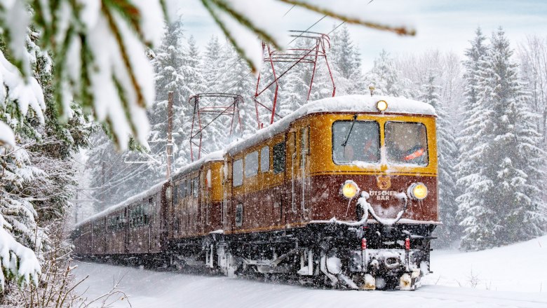 Mit dem Ötscherbären durch das verschneite Mariazellerland., © NÖVOG/Bollwein Ein Zug fährt durch eine verschneite Winterlandschaft, umgeben von schneebedeckten Bäumen.
