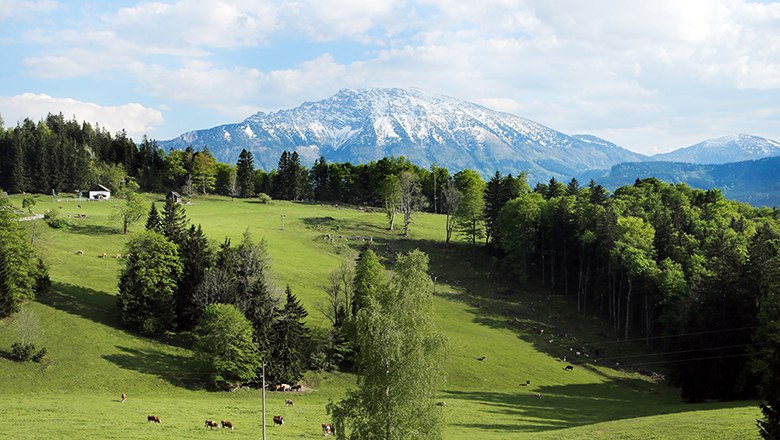 Aussicht auf den Ötscher vom Hochbärneck, © Mostviertel Tourisms/Weinfranz
