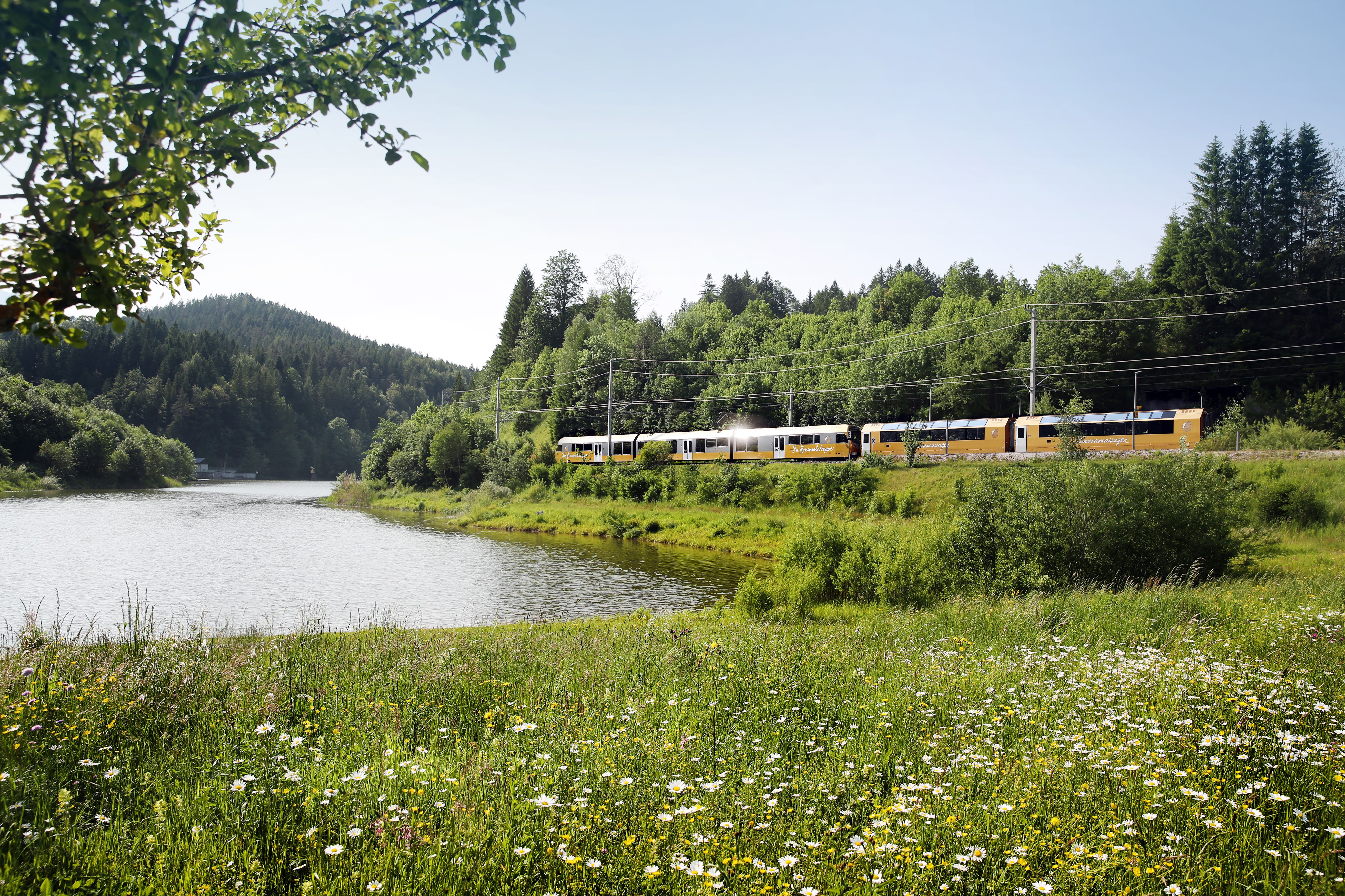 Mariazellerbahn fährt an einer blühenden Wiese und einem See entlang vor bewaldeten Hügeln.