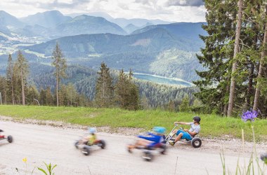 groß und klein flitzen mit Mountaincarts den Berg hinunter