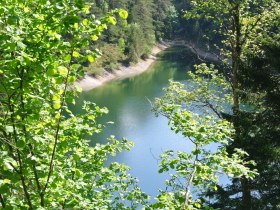 N&aacute;drž Erlauf, &copy; Naturpark &Ouml;tscher-Torm&auml;uer