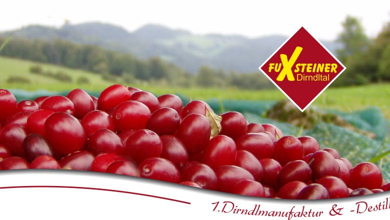 Rote Früchte auf einem Feld mit Logo der Marke FuXsteiner Dirndltal.