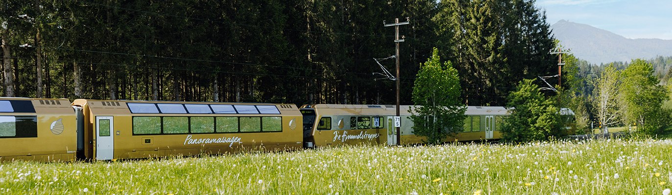Der Panoramawagen und die Himmelstreppe fahren durch die grüne Landschaft.