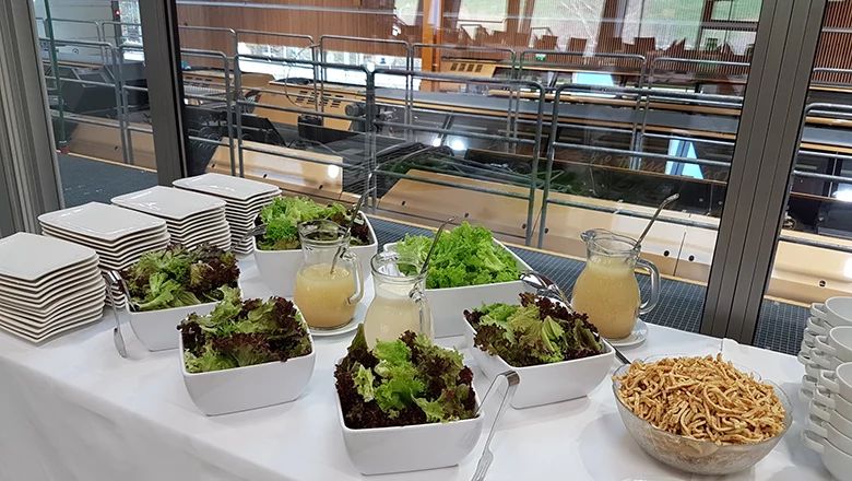 Salatbuffet mit verschiedenen Blattsalaten, Dressings und Beilagen: