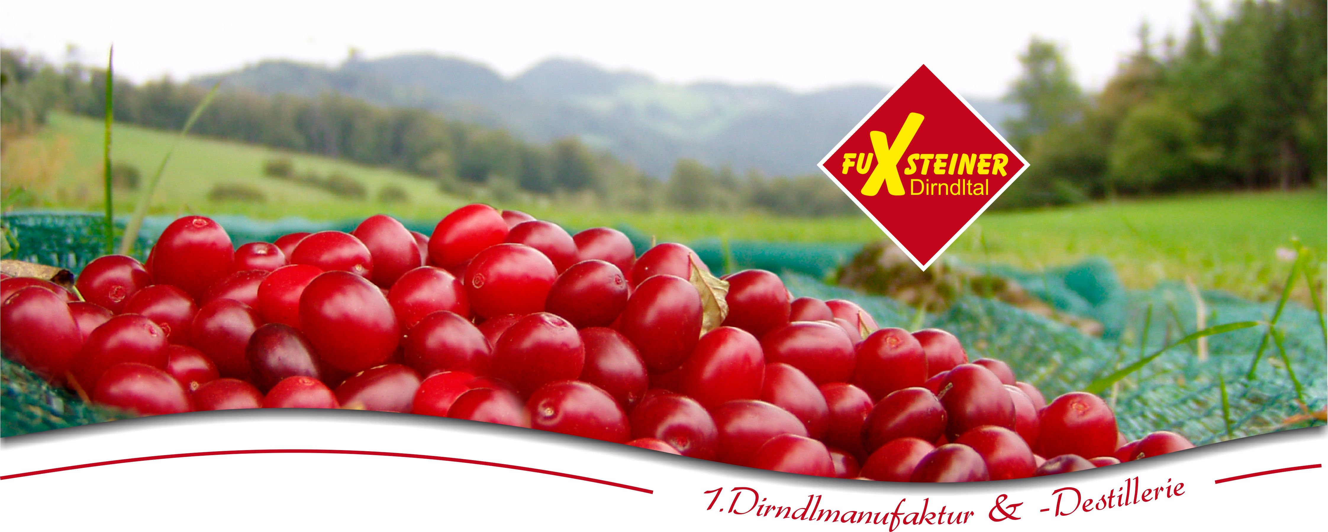 Rote Früchte auf einem Feld mit Logo der Marke FuXsteiner Dirndltal.