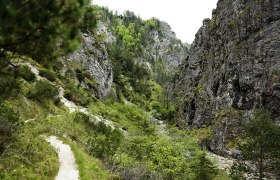Gorge - Hintere Torm&auml;uer, &copy; Mostviertel