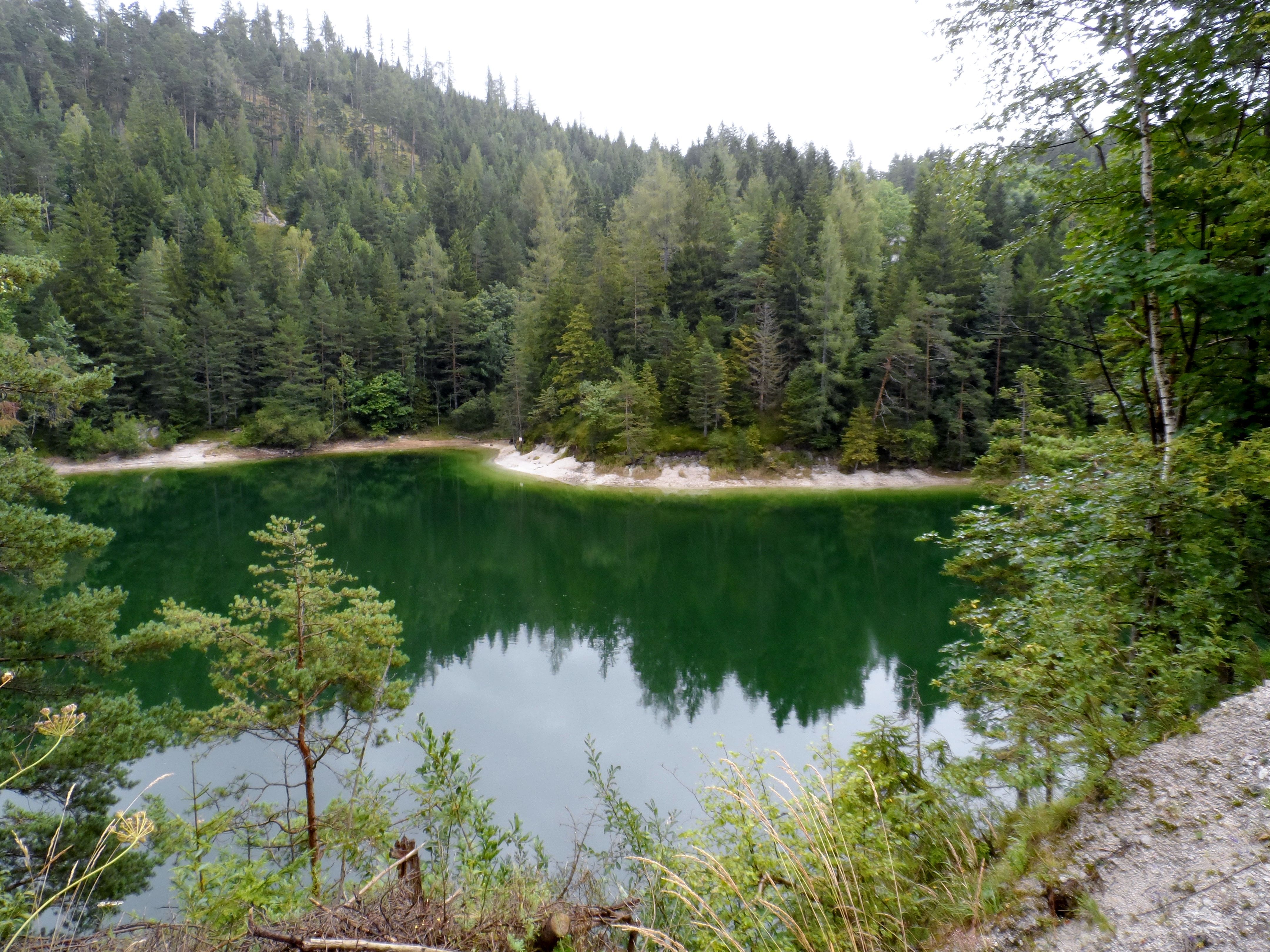 Ein kleiner, grüner See umgeben von dichten Nadelwäldern.