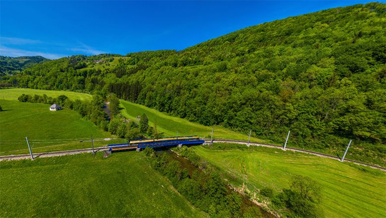 Ein blau-gelber Zug fährt durch eine grüne Hügellandschaft entlang eines Waldrands. Wiesen, bewaldete Hügel und blauer Himmel prägen die Umgebung.