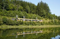 Die goldene Himmelstreppe fährt an einem bewaldeten Ufer entlang. Der Zug und die umgebenden Bäume spiegeln sich im ruhigen Wasser davor.