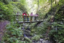 Gruppe von Wanderern auf einer Holzbrücke in einer bewaldeten Schlucht.
