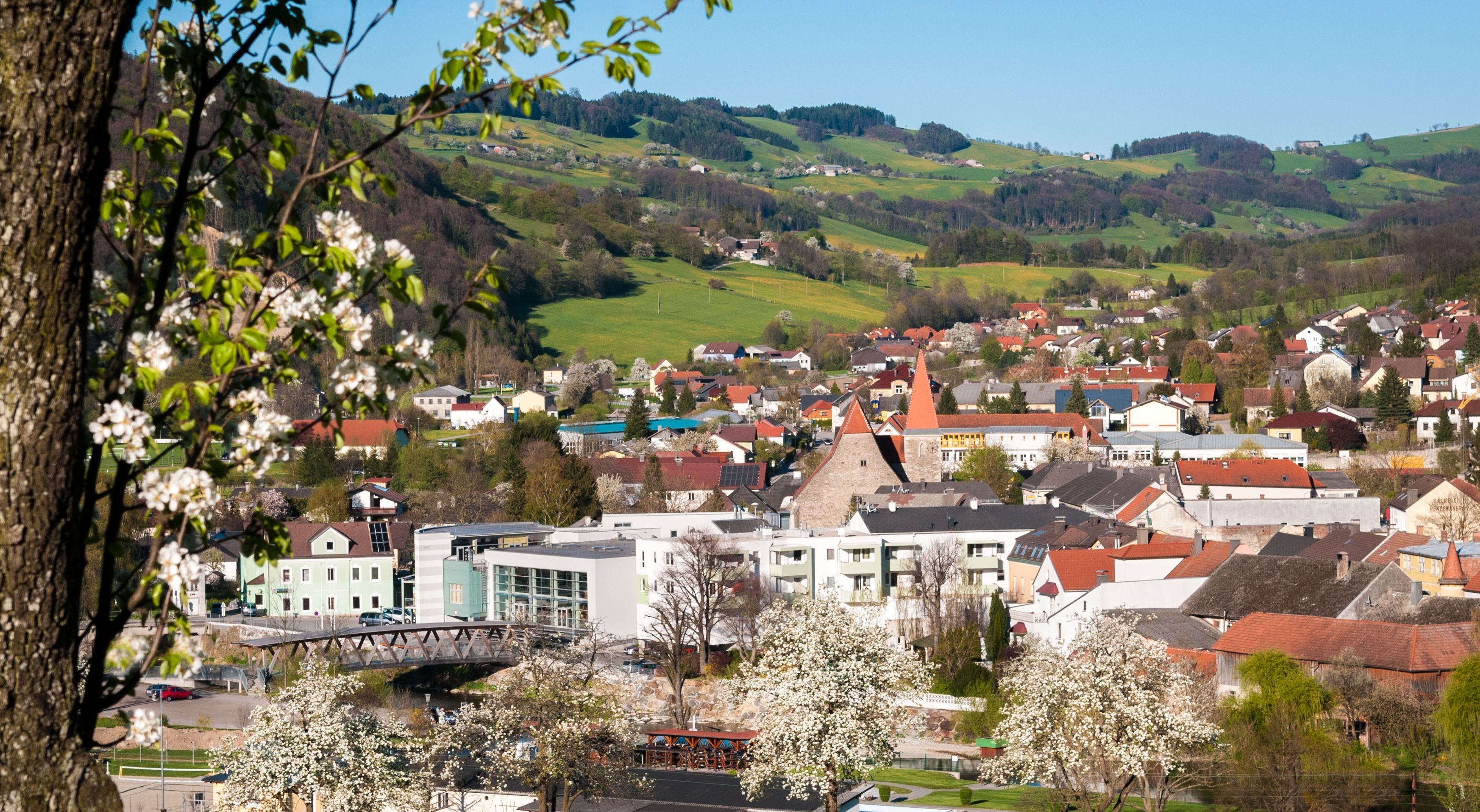 Panorama von Rabenstein mit blühenden Bäumen im Vordergrund und Hügeln im Hintergrund.