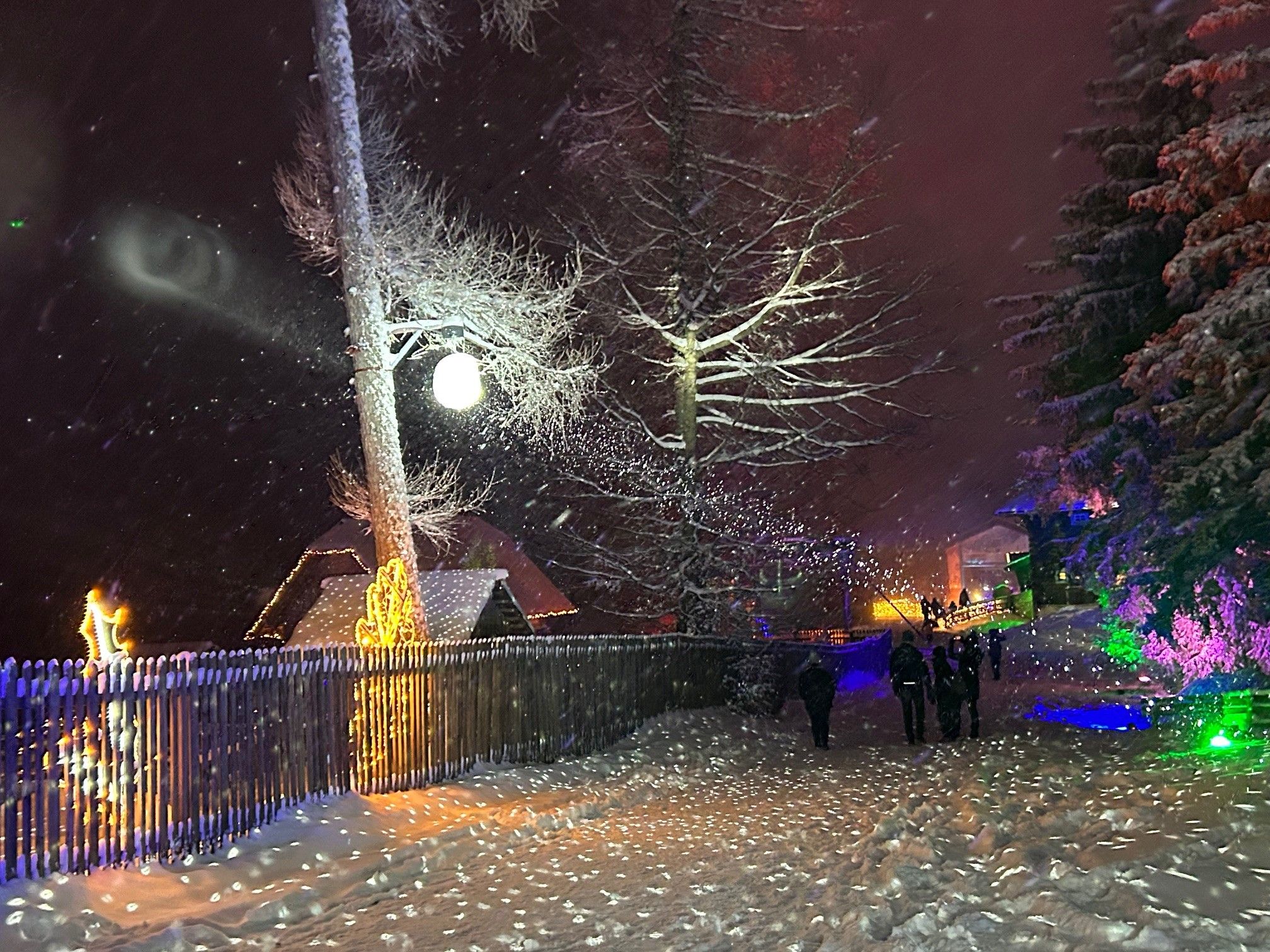 Lichtinstallationen im Schnee