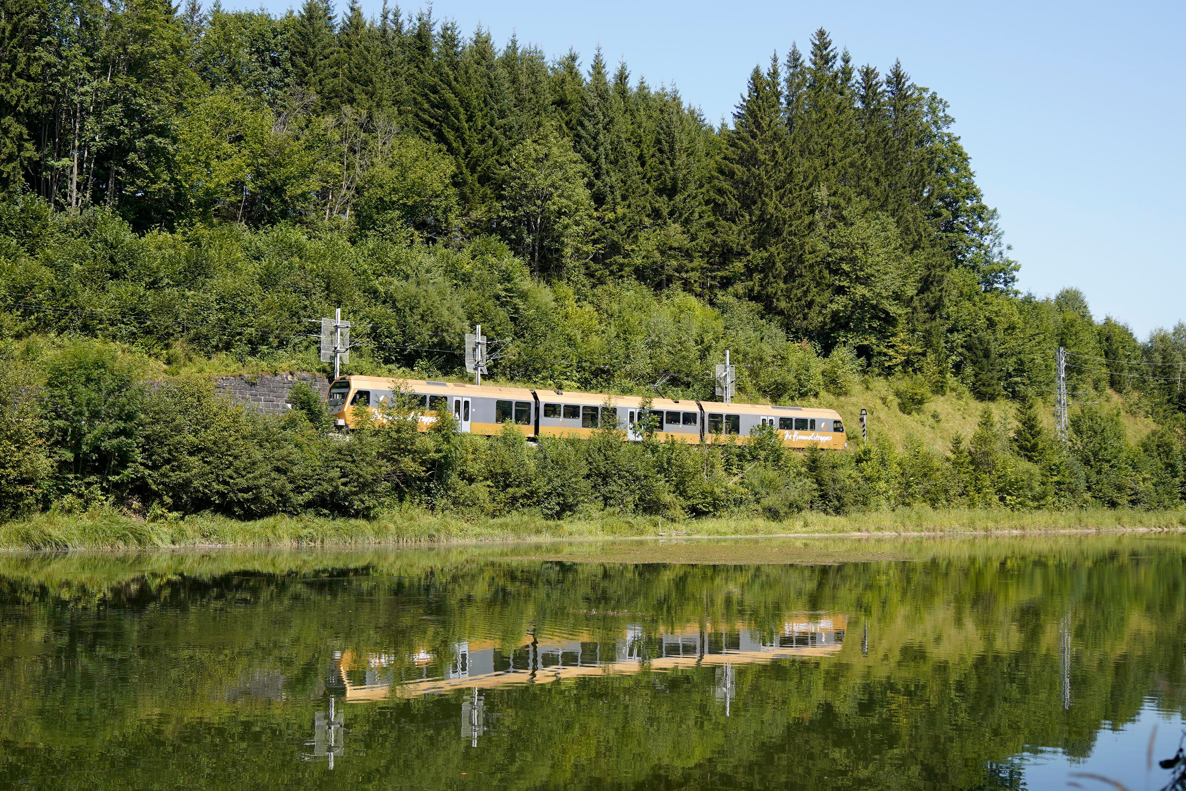 Die goldene Himmelstreppe fährt an einem bewaldeten Ufer entlang. Der Zug und die umgebenden Bäume spiegeln sich im ruhigen Wasser davor.