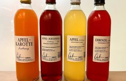 Vier Flaschen mit verschiedenfarbigen Fruchtsäften.