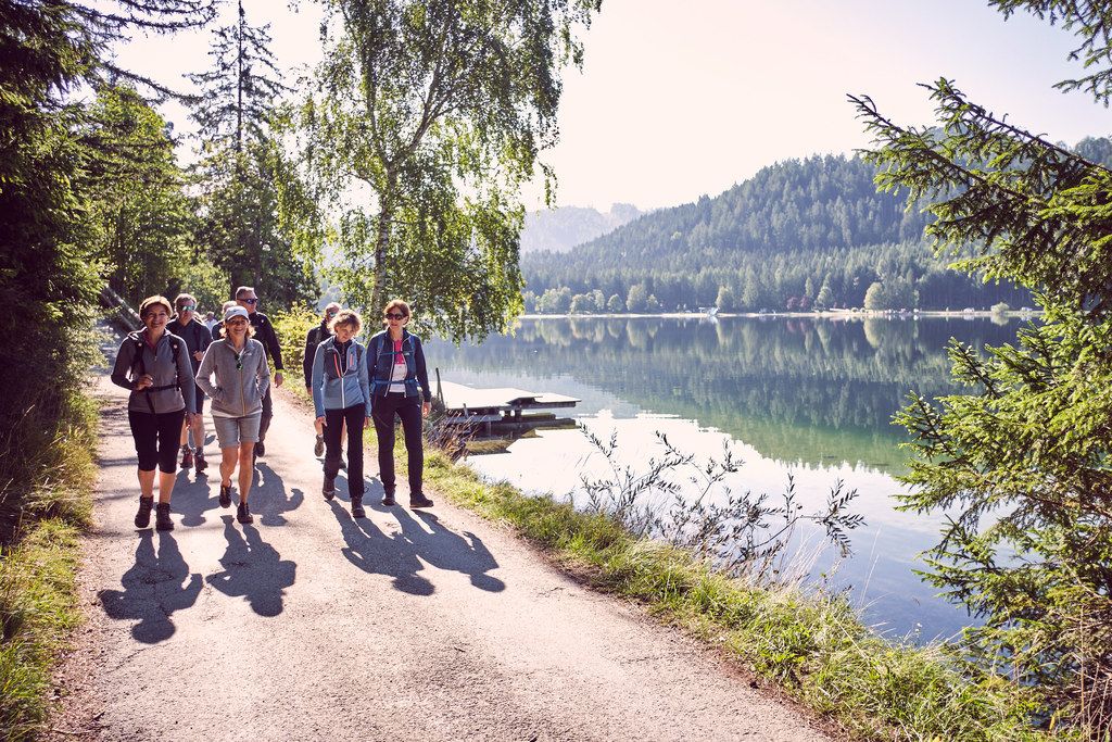 Wandern entlang des Erlaufsees