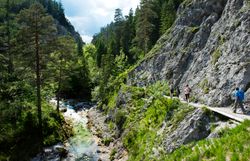 Mehrere Menschen wandern auf einem schmalen Weg durch eine felsige, bewaldete Schlucht. Unterhalb des Weges fließt ein klarer Gebirgsbach.