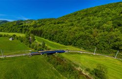 Ein blau-gelber Zug fährt durch eine grüne Hügellandschaft entlang eines Waldrands. Wiesen, bewaldete Hügel und blauer Himmel prägen die Umgebung.
