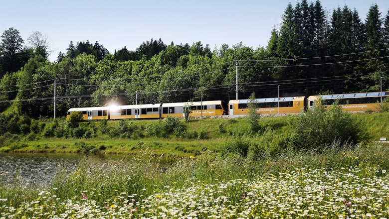 Goldener Zug f&auml;hrt an einem See vorbei, umgeben von gr&uuml;nen B&auml;umen und Wiesen mit wei&szlig;en Blumen
