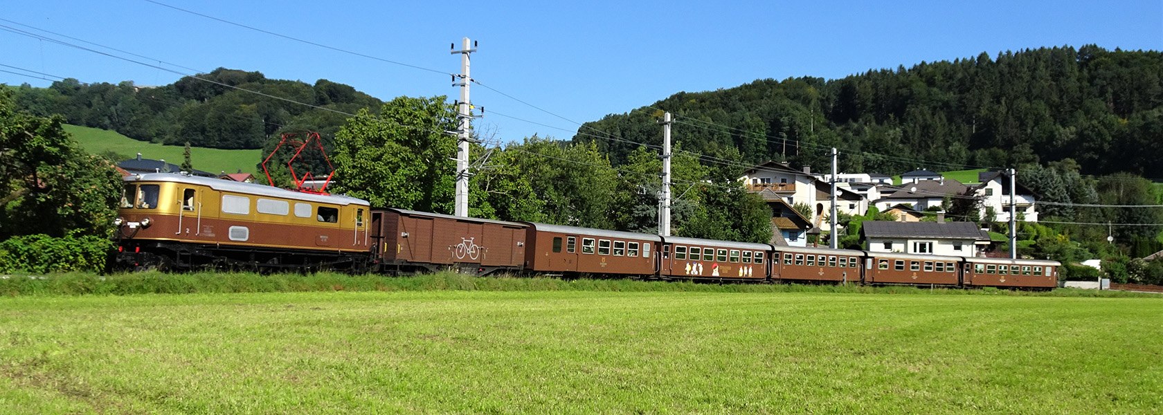 Ötscherbär, © NB/Kainz Thomas