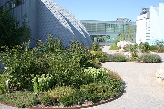 Moderne Architektur mit Gartenanlage im Vordergrund.