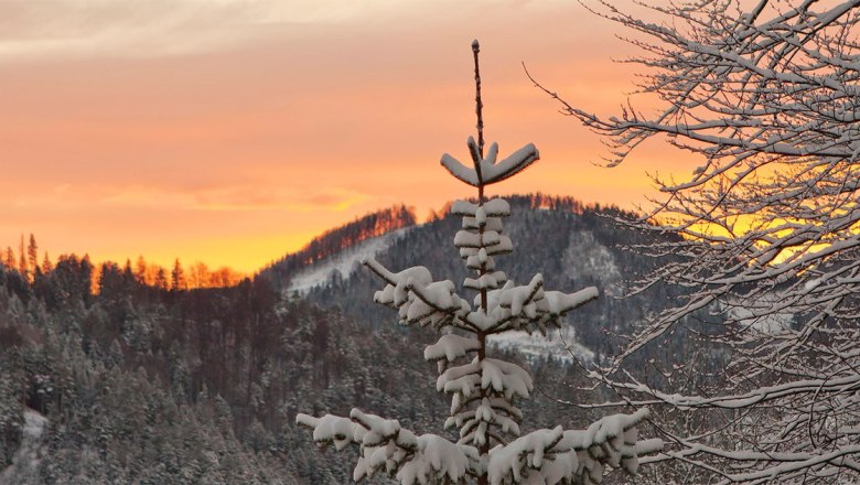 Hotel Winterbach, &copy; Hotel Winterbach