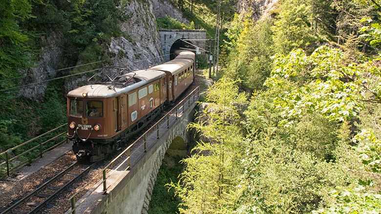 Ötscherbär fährt aus Tunnel heraus