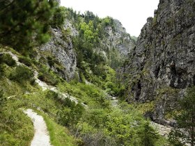 Gorge - Hintere Torm&auml;uer, &copy; Mostviertel