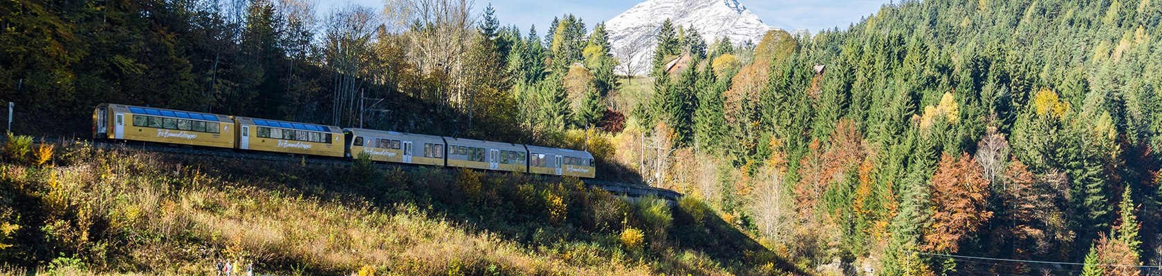 Mariazellerbahn fährt durch Landschaft hinter ihr ist ein Berg zu sehen