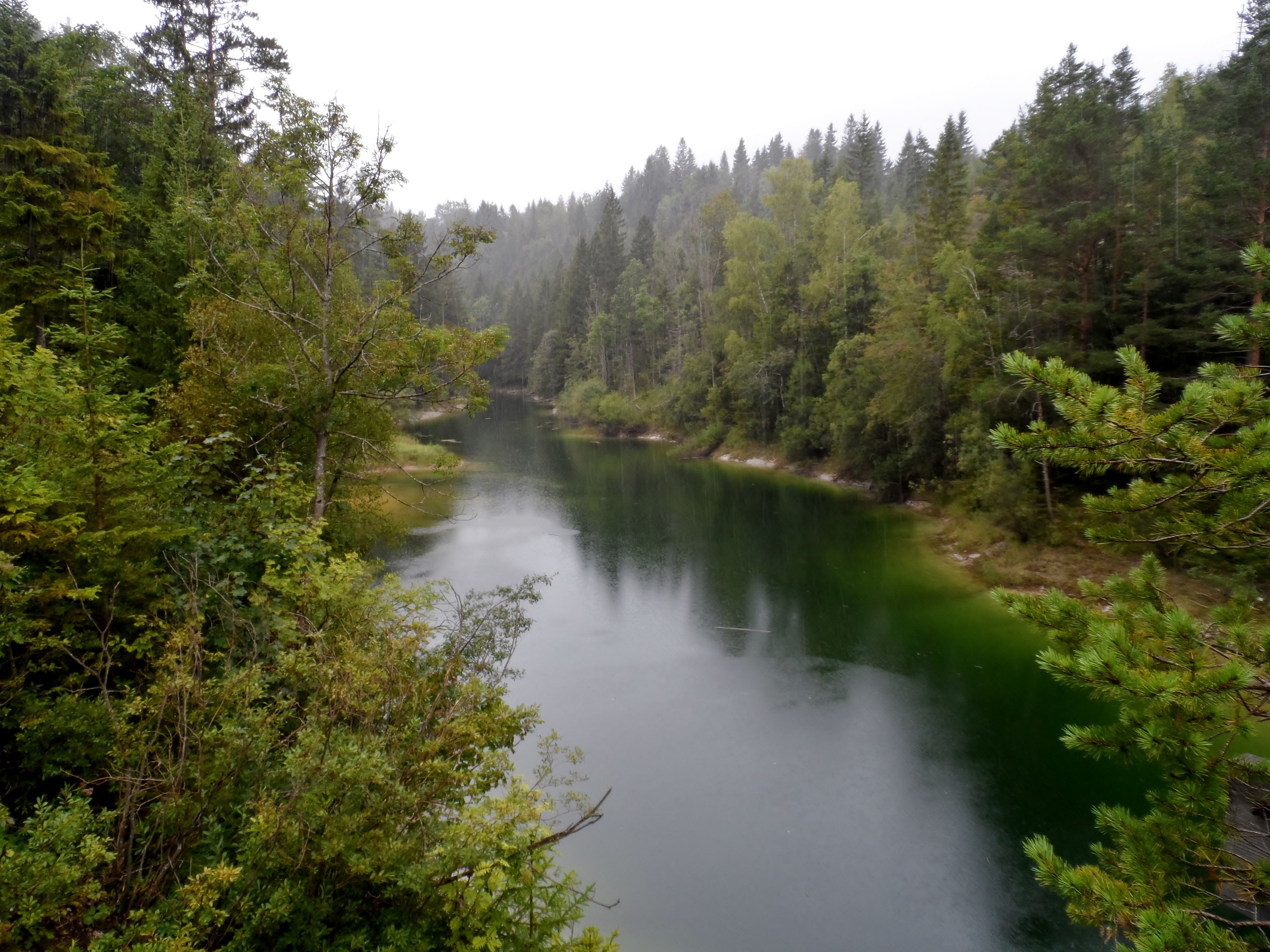 Ein ruhiger, grüner See umgeben von dichtem Wald unter bewölktem Himmel.