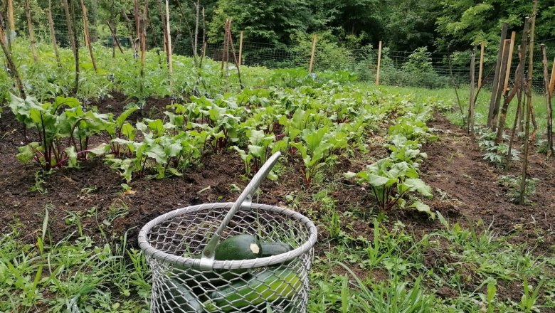 Hotel Winterbach, &copy; Hotel Winterbach