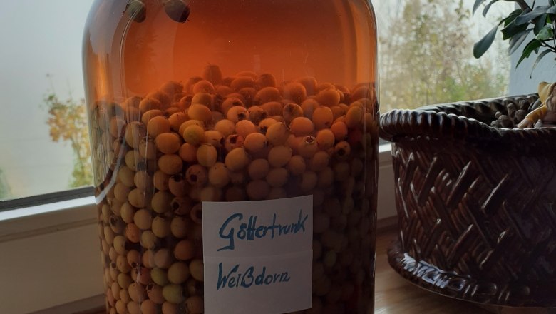 Hotel Winterbach, &copy; Hotel Winterbach