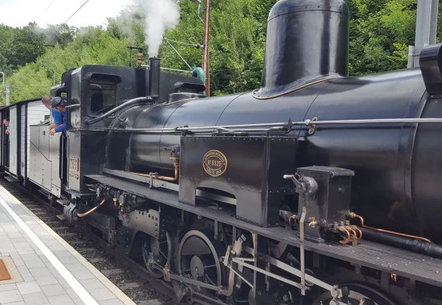 Eine schwarze Dampflokomotive steht mit angehängten Waggons an einem gepflasterten Bahnsteig. Personen schauen aus den Zugtüren und Fenstern heraus.