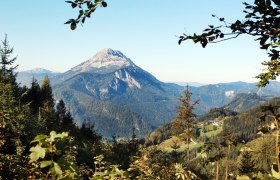 Zobrazit Alpenhotel G&ouml;sing, &copy; weinfranz.at