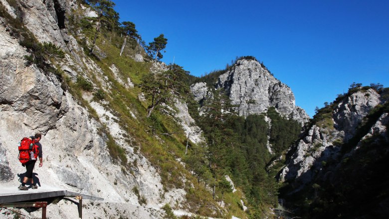 Person wandert auf einem schmalen Pfad in den &Ouml;tschergr&auml;ben, umgeben von steilen Felsw&auml;nden und Kiefern, unter klarem blauem Himmel.
