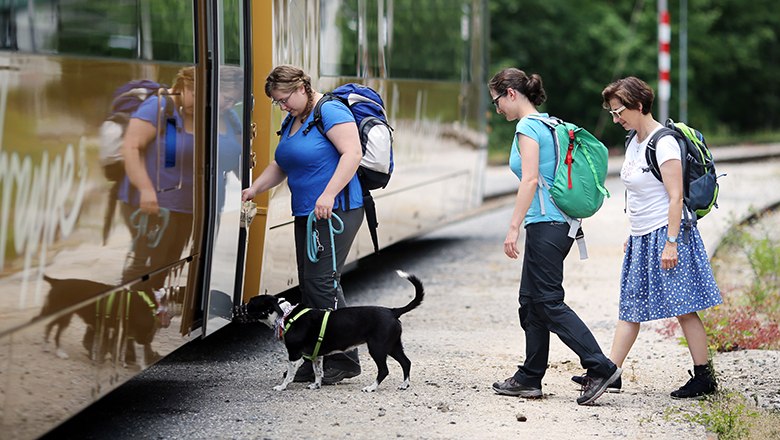 mehrere Frauen steigen mit Hund in Zug ein