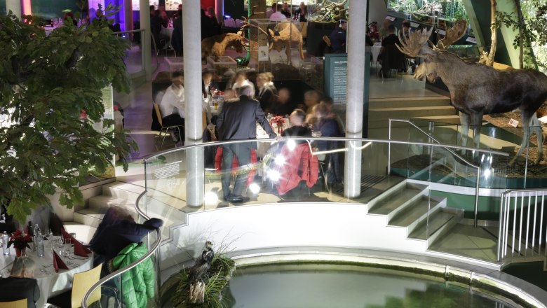 Museum Nieder&ouml;sterreich, experience area, &copy; Andreas Gie&szlig;wein