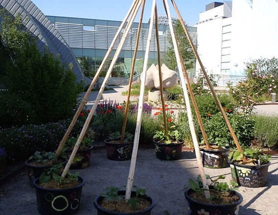 Ein Garten mit bemalten Pflanzk&uuml;beln und Holzstangen in einem Museumsgarten.