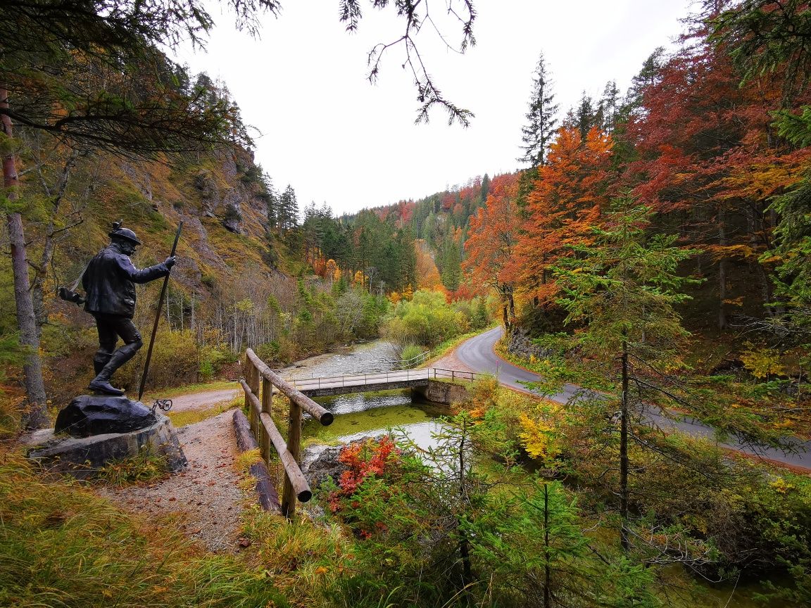 Erlauf_Walster2