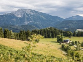 Almerlebnis am Hochb&auml;rneck, &copy; Fred Lindmoser