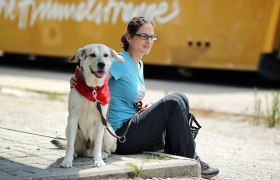 Frau sitzt mit Hund vor Mariazellerbahn